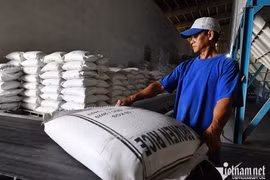 Gạo Việt Nam xuất sang một quốc gia Trung Đông tăng đột biến 12.843%