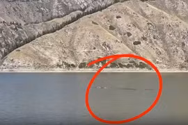Quái vật dài 15 m được nhìn thấy trên hồ ở Trung Quốc?