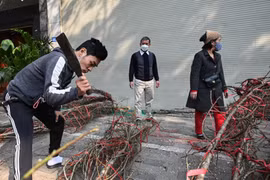 Tiểu thương vứt bỏ cành đào, khách điều ô tô đến chở về nhà