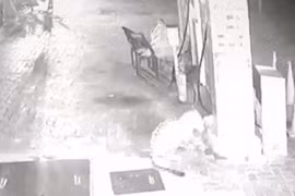 "Giả chết" lừa báo hoa mai, người đàn ông tim đập chân run 