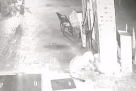 "Giả chết" lừa báo hoa mai, người đàn ông tim đập chân run 