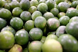 Tìm hiểu tác dụng của 3 vị thuốc tên có chữ 'mèo'