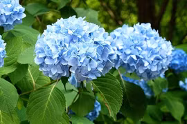 3 con giáp kinh doanh thành công trong tháng 8