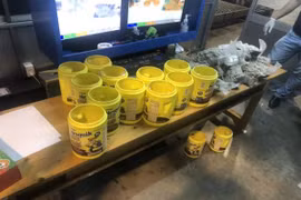 Hải quan Tân Sơn Nhất bắt giữ 5,84 kg ma túy trong lô hàng gửi từ Mỹ