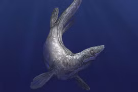 Thủy quái lạ 94 triệu tuổi