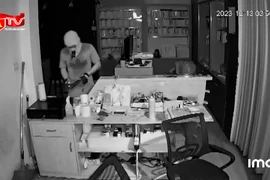 Tháng “củ mật”, cẩn thận trộm đột nhập