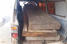 Chủ tịch xã bắt gỗ lậu xong 'biếu' cho lãnh đạo huyện