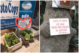 Bảo vệ vườn rau, gia chủ treo biển chống trộm cực hài hước