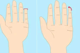 Chỉ cần nhìn độ dài ngón tay út biết ngay tương lai vận mệnh 