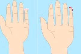Chỉ cần nhìn độ dài ngón tay út biết ngay tương lai vận mệnh 