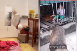 Trào lưu “không đẻ con gái đời không nể” và cái kết 