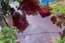 Truy tìm nguyên nhân 2 con đường ở TP HCM ngập nước màu đỏ