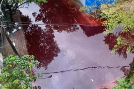 Truy tìm nguyên nhân 2 con đường ở TP HCM ngập nước màu đỏ