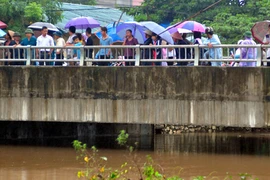 Nữ sinh viên ĐH Công nghiệp nhảy cầu tự tử