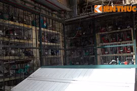 Nỗi khổ chung cư bị hàng trăm máy bơm bủa vây