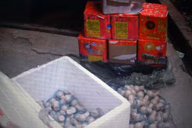 Vận chuyển “bom” còn gây tai nạn