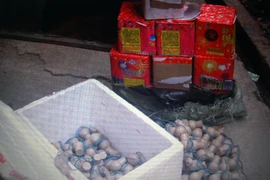 Vận chuyển “bom” còn gây tai nạn