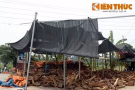 Không còn ông trùm Hưng “sóc” bảo kê, chợ gỗ Phù Khê ra sao?