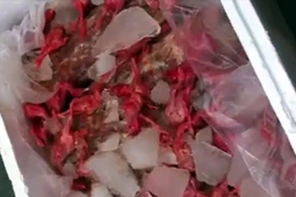 Nửa tấn gà con Trung Quốc chết thối tuồn vào Việt Nam