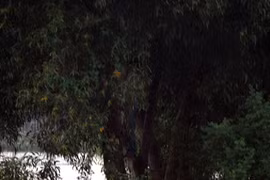 Cô gái 20 tuổi cởi trần treo cổ