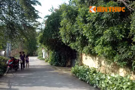 Đột nhập nhà cây kỳ dị nhất Hà Nội