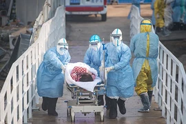 Dịch viêm đường hô hấp cấp do nCoV: Thêm 65 ca tử vong mới tại Hồ Bắc