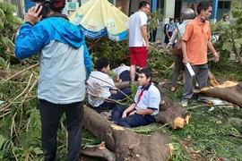 Ai quản lý cây phượng gãy đổ, đè lên học sinh ở TP.HCM?