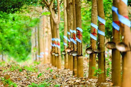 Bầu Đức vẫn đau đầu với gánh nợ của Hoàng Anh Gia Lai