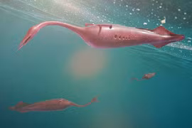 Chuyện lạ: Phát hiện quái vật 310 triệu tuổi không thể xác định danh tính