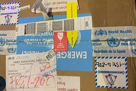 Bác sĩ mang thuốc giải độc pate Minh Chay về TP HCM