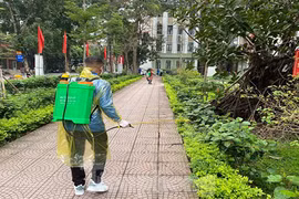 Bắc Ninh xuất hiện nhiều ổ dịch sốt xuất huyết