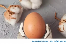 8 thực phẩm gây hại cho não mà chúng ta đang ăn hằng ngày