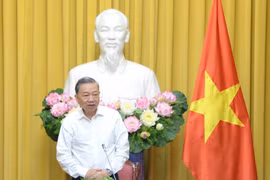 Chủ tịch nước chủ trì họp Ban Chỉ đạo Cải cách Tư pháp Trung ương