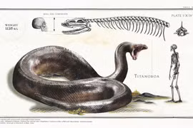 Nỗi sợ di truyền hé lộ loài động vật kinh dị nhất thời tiền sử