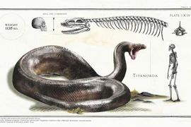 Nỗi sợ di truyền hé lộ loài động vật kinh dị nhất thời tiền sử