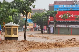 Yêu cầu kiểm tra, đánh giá nguyên nhân ngập lụt tại TP Sơn La