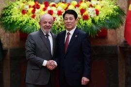 Việt Nam - Brazil thống nhất mở rộng hợp tác trên nhiều lĩnh vực