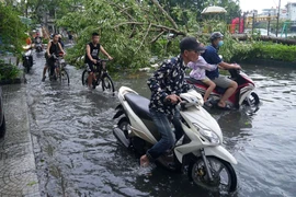 Hải Phòng: Nhiều phố trung tâm ngập sâu, cây xanh đổ la liệt