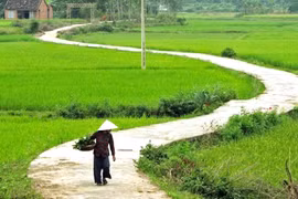 Bất ngờ về quê, tôi nghẹn ngào thấy bữa cơm của bố mẹ chồng