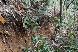 Bắc Kạn công bố tình huống khẩn cấp về thiên tai