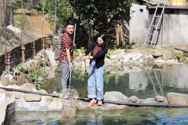 Mô hình nuôi cá tầm kết hợp du lịch cộng đồng ở Yên Lập