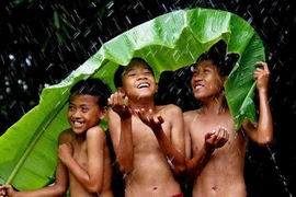 Khi trưởng thành, anh chị em ruột không còn là người một nhà 