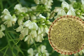 4 thảo dược dễ kiếm giúp đẩy lùi tắc nghẽn động mạch 