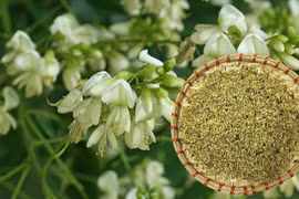 4 thảo dược dễ kiếm giúp đẩy lùi tắc nghẽn động mạch 