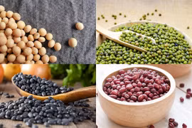 10 loại thực phẩm giúp cải thiện sức khỏe của bạn trong năm mới