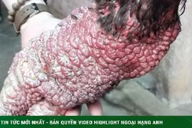 Những đặc sản đắt đỏ ngày Tết, muốn mua phải đặt trước cả tháng