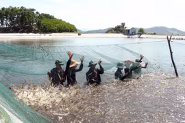 Nuôi tôm quảng canh cải tiến 2 giai đoạn ứng phó biến đổi khí hậu