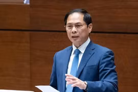 Bộ trưởng Ngoại giao: Công tác bảo hộ công dân làm rất kịp thời