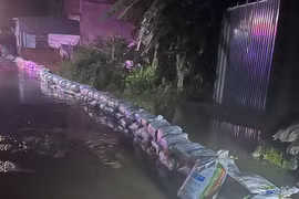 Huy động nhân lực khắc phục sự cố rò rỉ nước kè đê ở Chương Mỹ