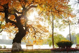 Bắc Bộ trưa chiều trời nắng, có nơi nhiệt độ trên 31 độ C